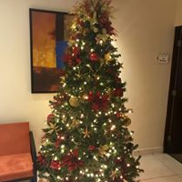 46519147_2181446545219716_1651374174662295552_n